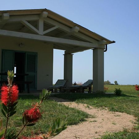 Agriturismo Podere 678 Гроссето Экстерьер фото